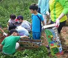 1박2일 주말가족 <섬에서 만나는 창의예술캠프>